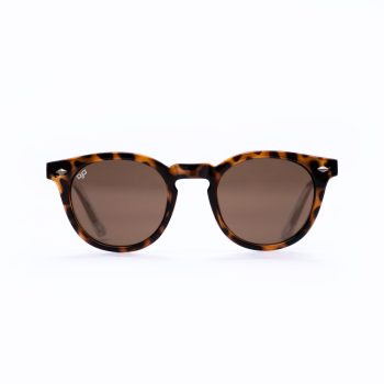 ROUND SHELL BROWN FRAME AND CLEAR TEMPLES WITH BROWN LENSES