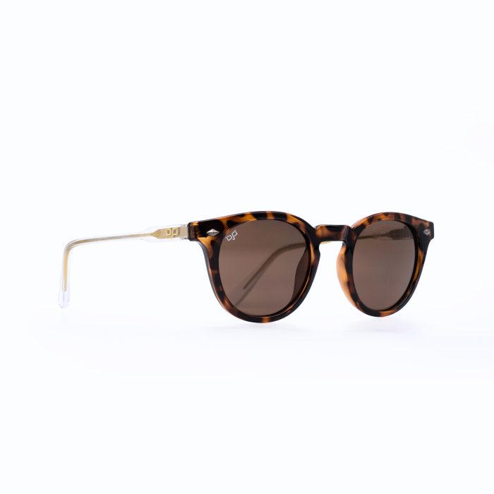 ROUND SHELL BROWN FRAME AND CLEAR TEMPLES WITH BROWN LENSES - Image 2