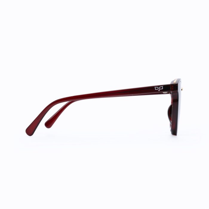 ROUND SHELL BROWN FRAME AND CLEAR TEMPLES WITH BROWN LENSES - Image 3