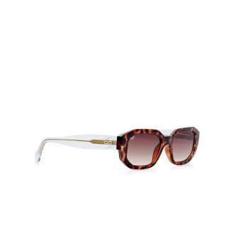 RAVA TORTOISE - Image 3