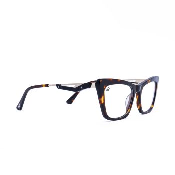 SERA TORTOISE - Image 2