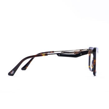 SERA TORTOISE - Image 3