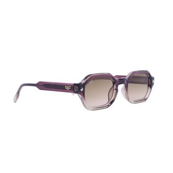 HARLO CLEAR BROWN - Image 2