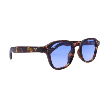 PALO SHELL BROWN - Image 2