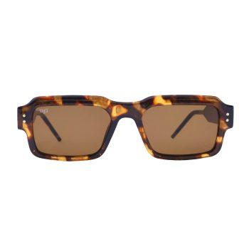 PALO SHELL BROWN