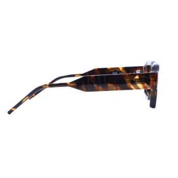 PALO SHELL BROWN - Image 3
