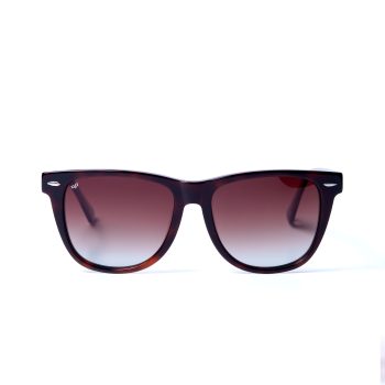 NORTE TORTOISE CLEAR