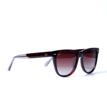 NORTE TORTOISE CLEAR - Image 2
